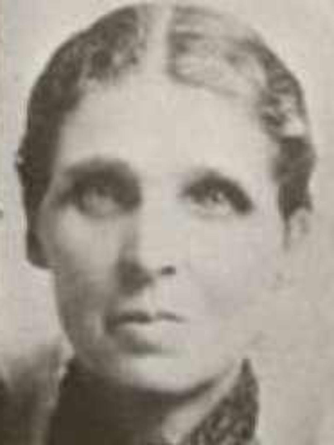 Lenora Bailey (1849 - 1925) Profile